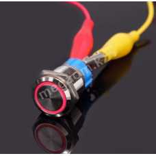 Кнопка FF19C-G11Z-E   антивандальная 19мм  с подсветкой LED 12-24V 5pin 1NO 1NC  IP67 с фиксацией красная